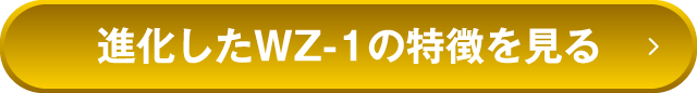 進化したWZ-1の特徴を見る