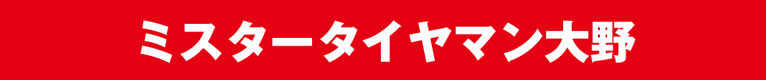 ミスタータイヤマン大野店